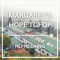 Darjeeling Margaret's Hope...