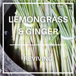 Lemongrass & Ginger Spiced...