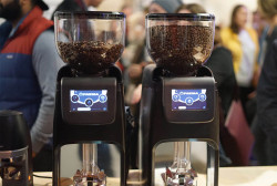 Faema Groundbreaker BDS Grinder | On-Demand Espresso Grinder | Indigo Valley