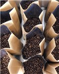Cole & Mac Blend 77 Whole Bean Coffee | 1kg Carbon Neutral