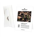 Table Talker Strut Card